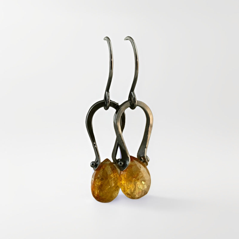 Golden Teardrop Dangle Earrings