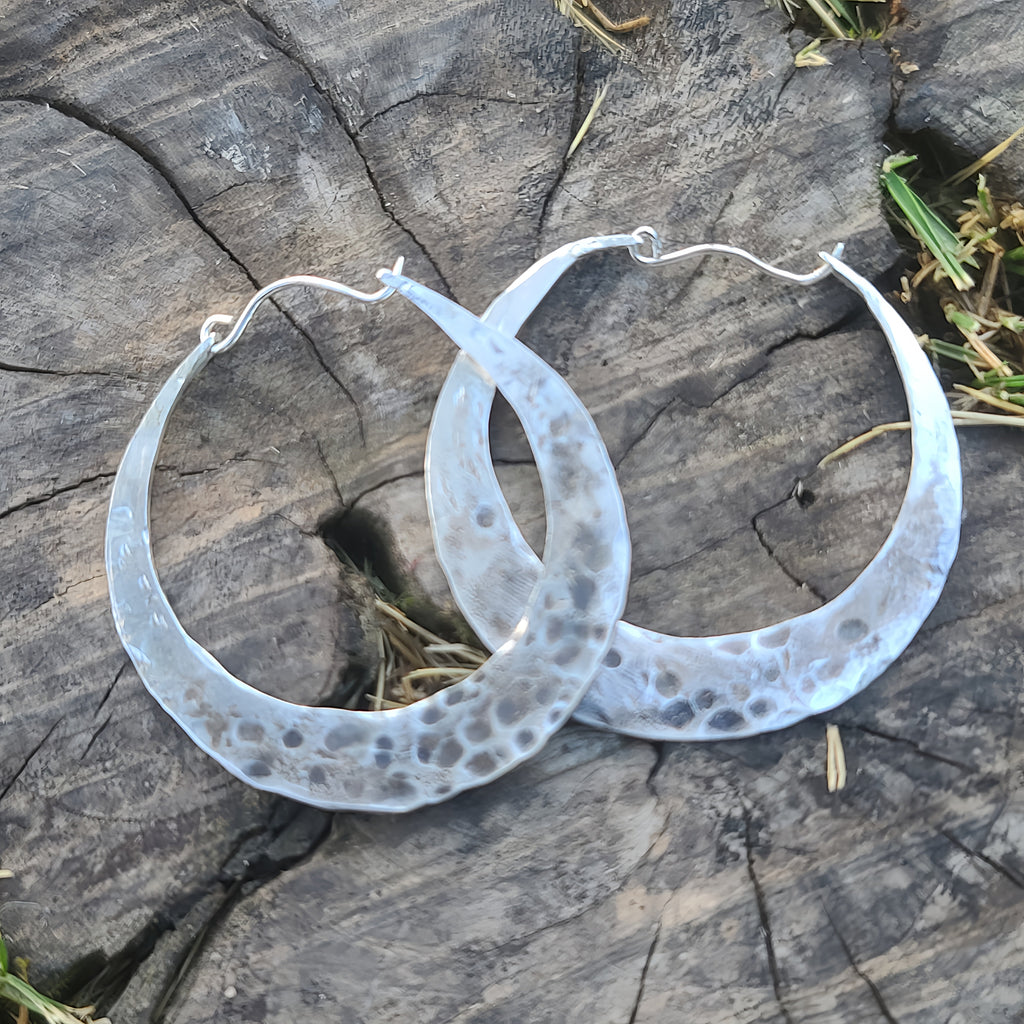 Light Luxury Simple Niche Design Earrings